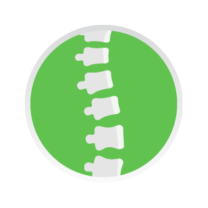 Lesiones de la Médula Espinal